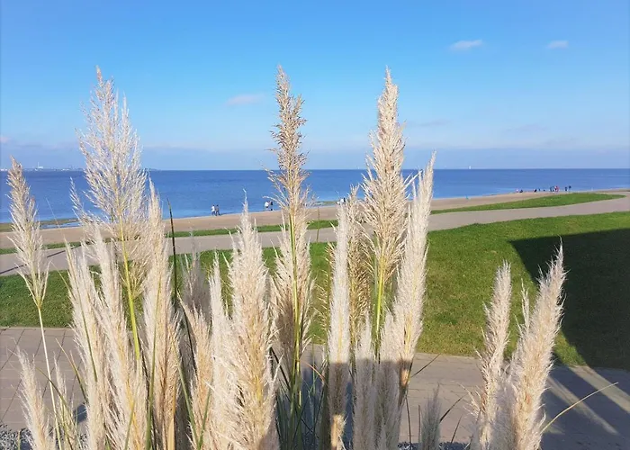 Jadestrand, Am Alten Deich 4-6, Whg 1 20 Appartement